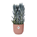 vibes fold rond 35cm delicaat roze